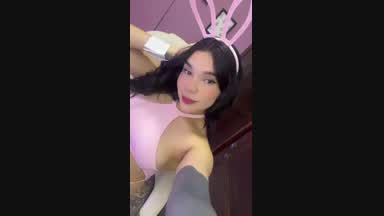 rabbit