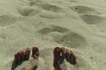 beach day (8 pics)