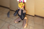 beauty Bunny