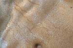 hellotoni live Chaturbate webcam gallery thumbnail