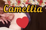 Camellia