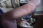 My big hard cock