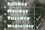 my schedule