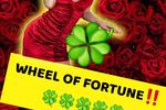 Wheel  of  fortune!!