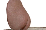 almost looks like a butt