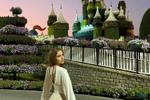 In the village of the Smurfs