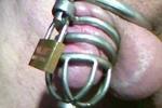 Little limp cock in chastity