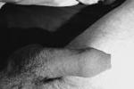 Fedom