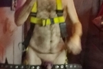 I'm strapped up looking sexy AF