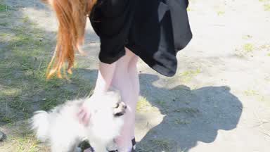 Angry dog ​​wants to eat me