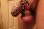 gouldcoc — Cock cage