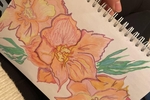 my art)