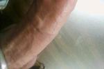 pictures