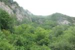 my little trip