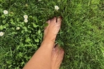 feet