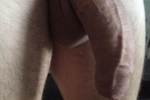 Big Jims horse dick