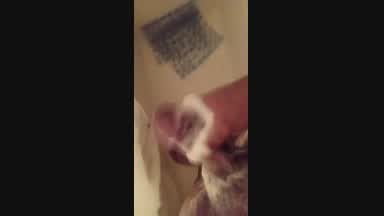 ;me in the shower