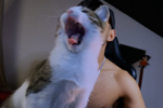 04