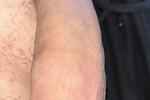 Cock