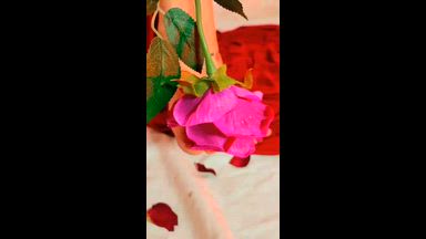 Happy valentine's day😍😍😍