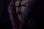 Shibari 🔥