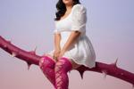 The Art of Fantasizing