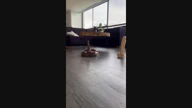 Ride torso in my hall
