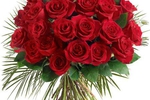 HAPPY DAY SALOME