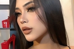 marina's album