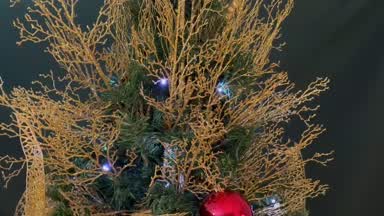 Merry christmas for you 💖