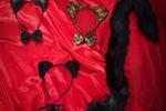 Toys and costumes