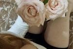 My favorite flowers