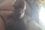 cock