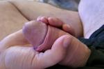 Handfull
