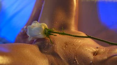 Oil show & white rose tease