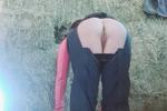 Fancy a roll around in the hay?