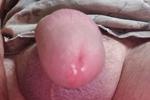 New Cock Pics