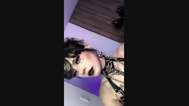 🦇 𝔐𝔦𝔰𝔱𝔯𝔢𝔰