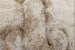 with Oil