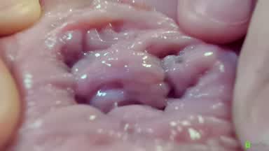 Drooling on pussy playing with pussy