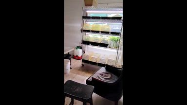 farmerboyart videos