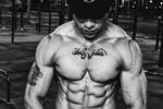 damian torner โ alfa muscle stret