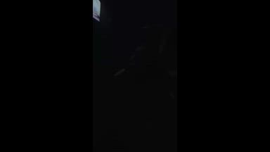 Eating My Pussy Until I Cum & He Slips It In