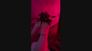 👣