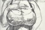 I am in my fan's drawings