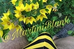martin โ My profile 2 me