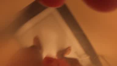 Cum in shower