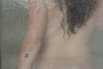 Shower door set