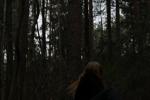 I love the forest