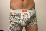 Bulge